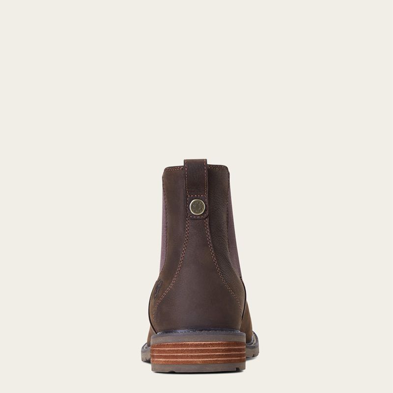 Java Ariat Wexford Waterproof Chelsea Boot | 89ZPEAJQD