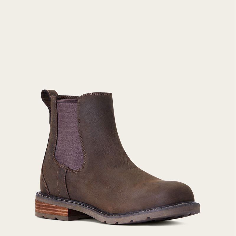 Java Ariat Wexford Waterproof Chelsea Boot | 89ZPEAJQD