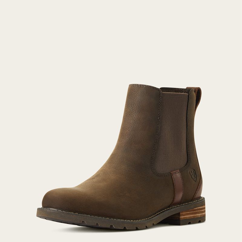 Java Ariat Wexford Waterproof Chelsea Boot | 51FWYZVQT