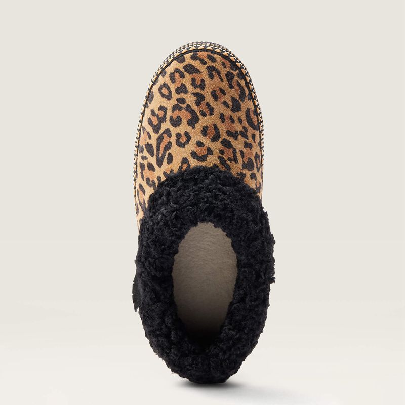 Leopard Print Suede Ariat Melody Slipper | 09PTGKVMY