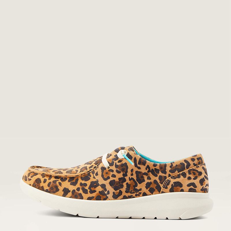 Lively Leopard Ariat Hilo | 34ABPJCXL