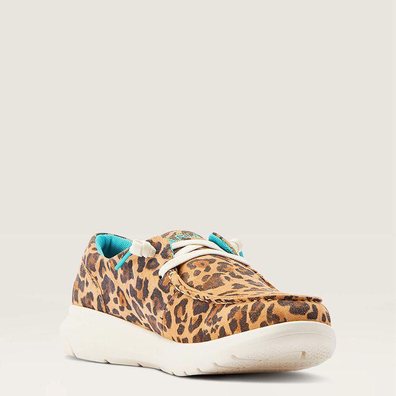 Lively Leopard Ariat Hilo | 34ABPJCXL