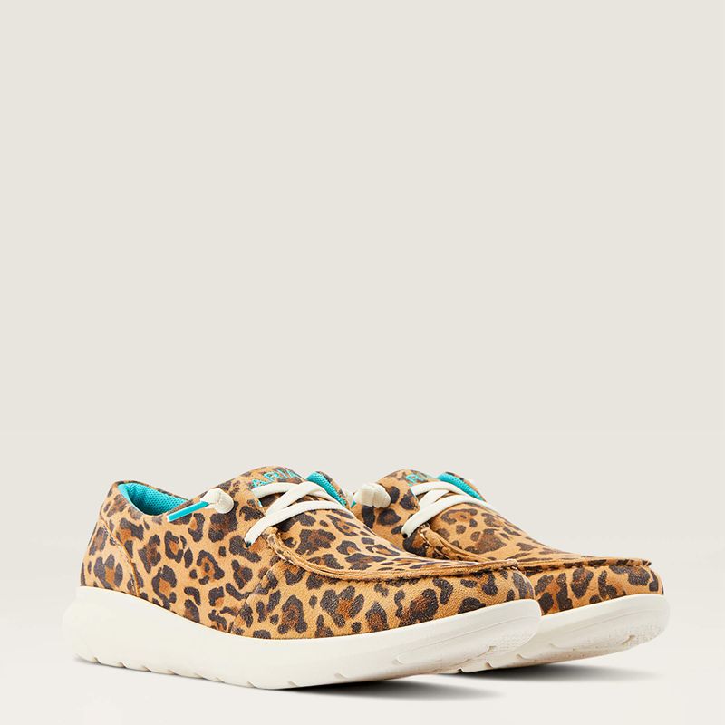 Lively Leopard Ariat Hilo | 34ABPJCXL