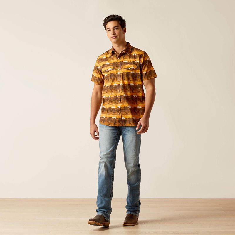 Mink Ariat Heath Retro Fit Shirt | 20JNBMZCP