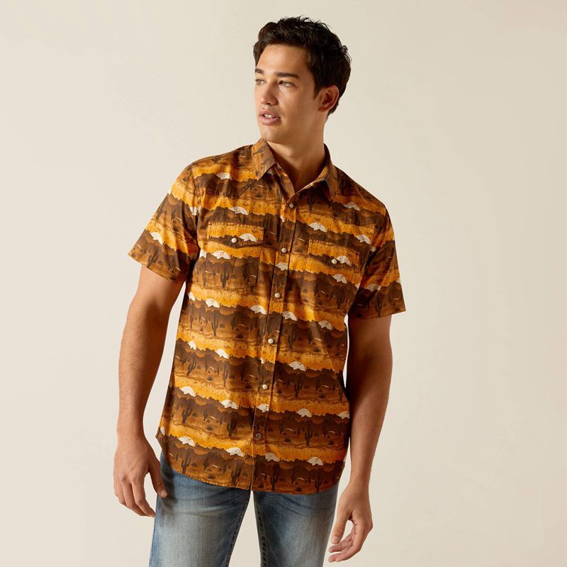 Mink Ariat Heath Retro Fit Shirt | 20JNBMZCP