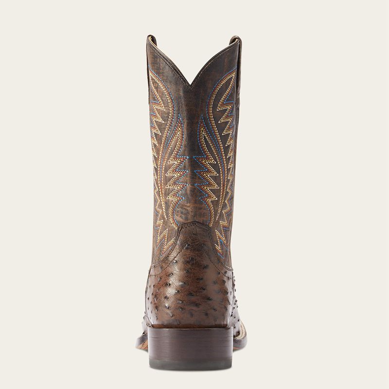 Mocha Full Quill Ostrich Ariat Gallup Western Boot | 81CKATPFJ