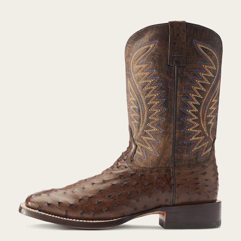 Mocha Full Quill Ostrich Ariat Gallup Western Boot | 81CKATPFJ