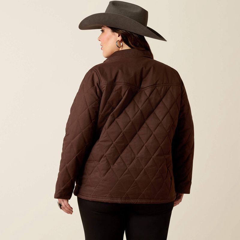 Mole Ariat Grizzly Quilted Barn Jacket | 51FUQIHRZ