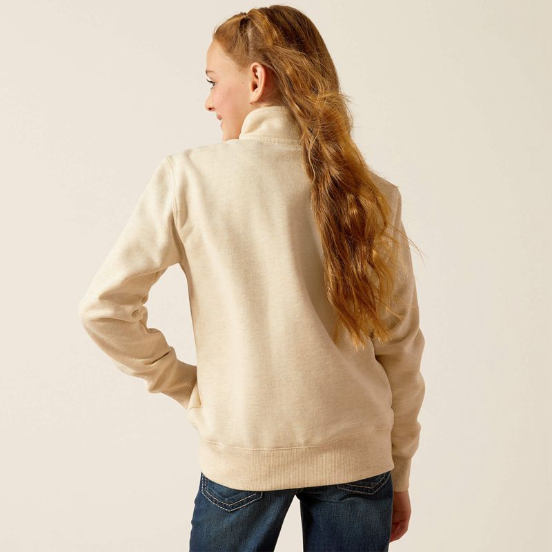 Oatmeal Heather Ariat Pasture 1/4 Zip Sweatshirt | 73IKSOJWN