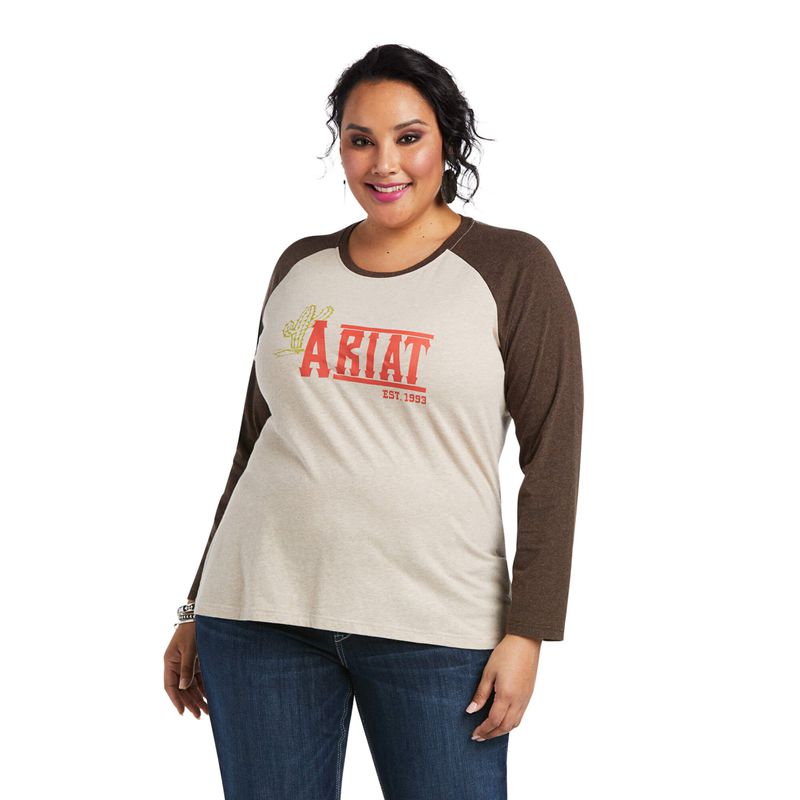 Oatmeal Heather Ariat Real Graphic Tee | 97LTQMXPV