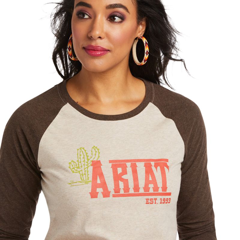 Oatmeal Heather Ariat Real Graphic Tee | 97LTQMXPV