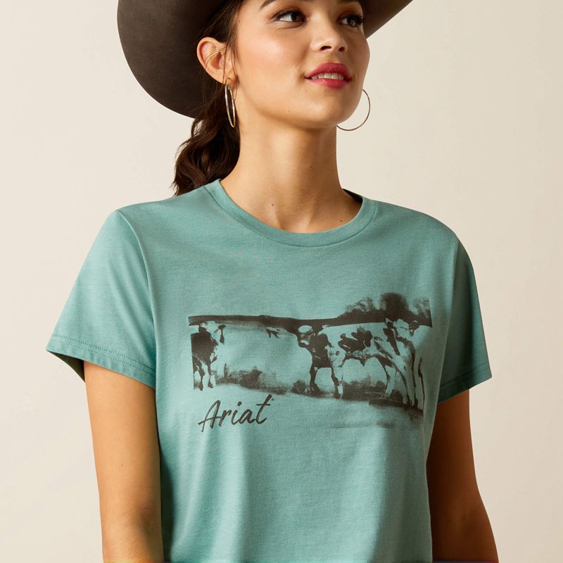 Ocean Blue Heather Ariat Wholesome Heffers T-Shirt | 05DZNFSPR