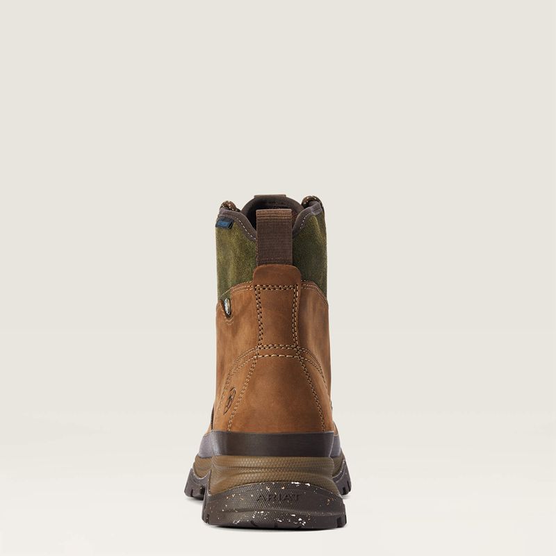 Oily Distressed Brown Ariat Moresby Waterproof Boot | 50TMHORUY