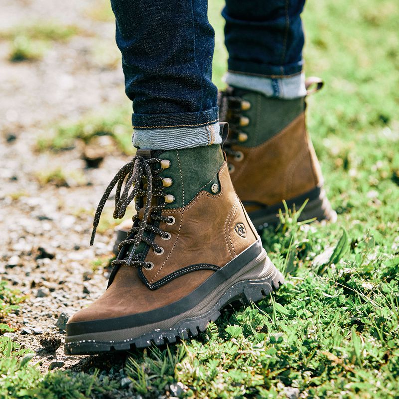 Oily Distressed Brown Ariat Moresby Waterproof Boot | 50TMHORUY