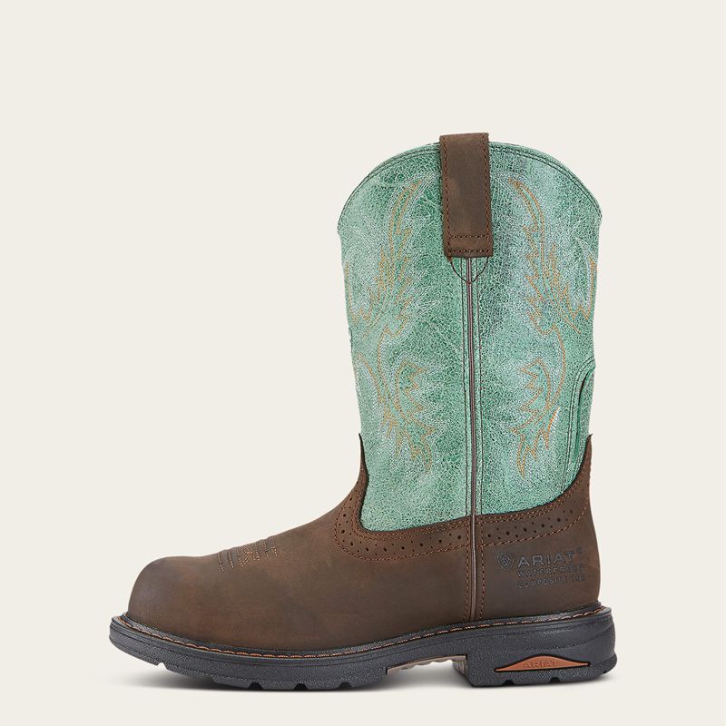 Oily Distressed Brown Ariat Tracey Waterproof Composite Toe Work Boot | 20SHCANLR