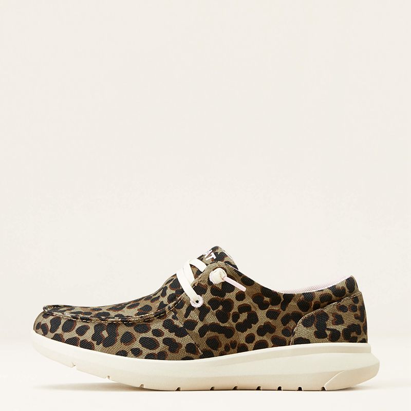 Olive Leopard Print Ariat Hilo | 75KREQAHT