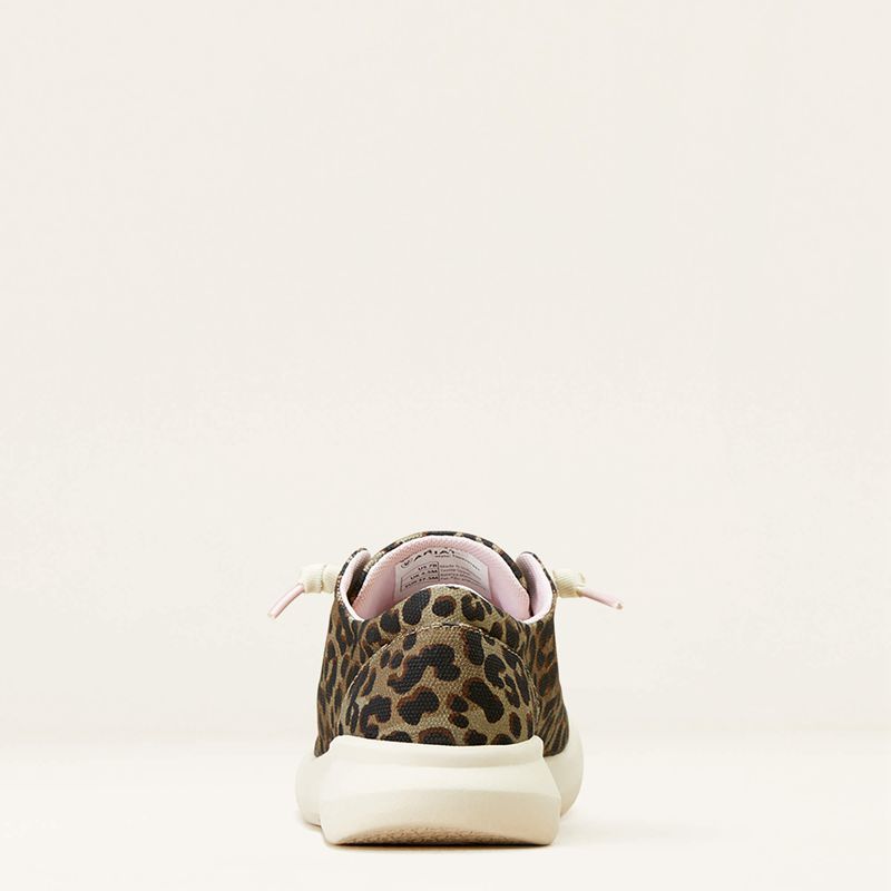 Olive Leopard Print Ariat Hilo | 75KREQAHT