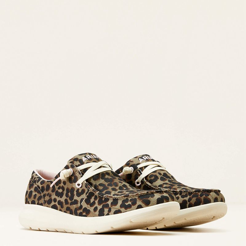 Olive Leopard Print Ariat Hilo | 75KREQAHT