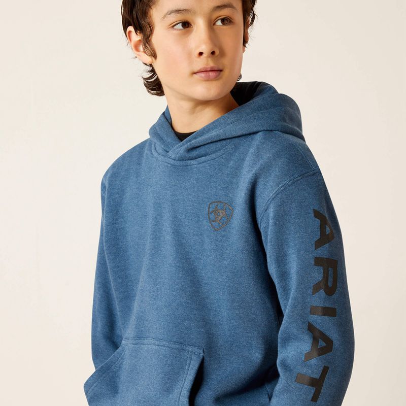 Poseidon Ariat Logo Hoodie | 53LDVURGX