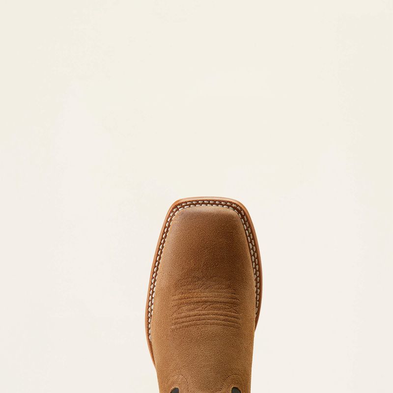 Ranch Brown Suede/Bayou Black Ariat Circuit Paxton Cowboy Boot | 74ICEDVWH