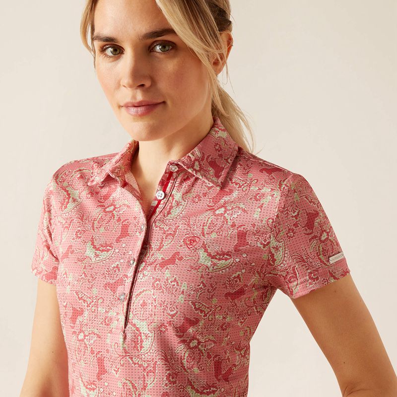 Rose Baroque Horse Ariat Motif Polo | 76RHTSCGV