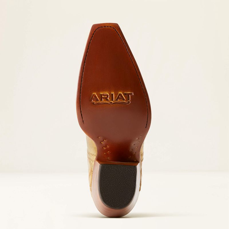 Royalty Shine Ariat Dixon Bootie | 63OLQGXRK