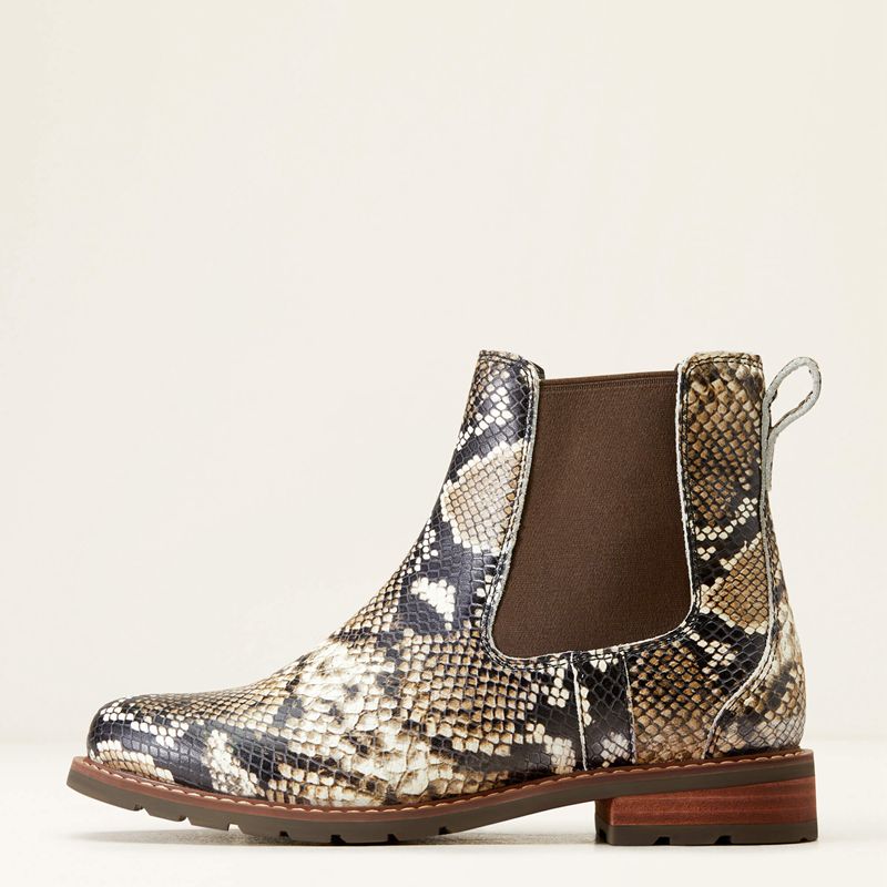 Snake Print Ariat Wexford Chelsea Boot | 24YFJVZNO