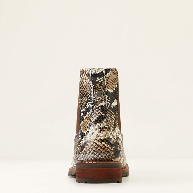 Snake Print Ariat Wexford Chelsea Boot | 24YFJVZNO