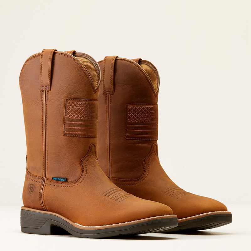 Status Brown Ariat Ridgeback Country Waterproof Cowboy Boot | 21ZRPQMYF