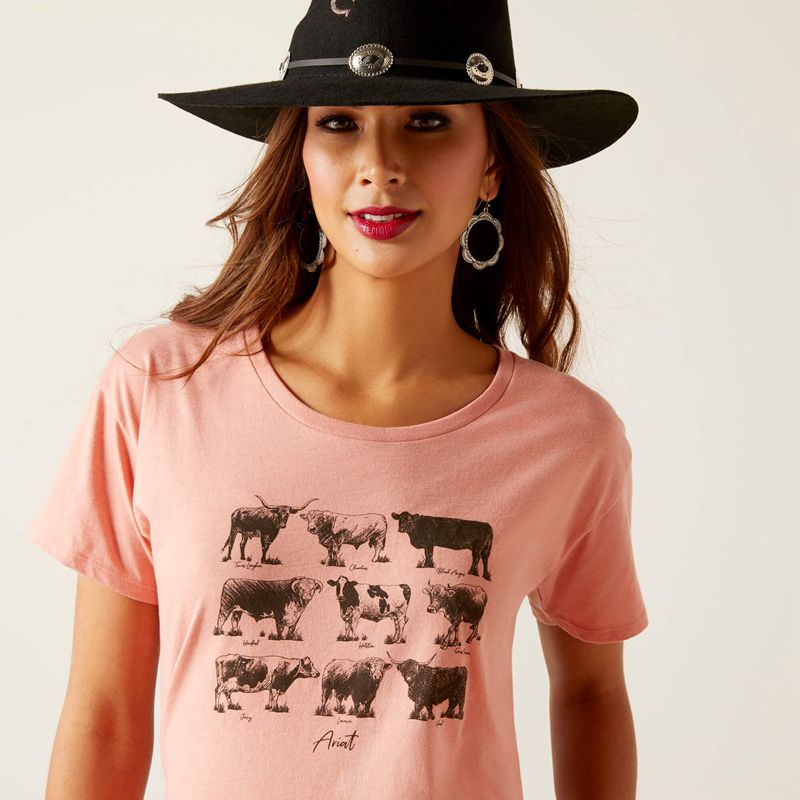 Sunset Heather Ariat Cow Chart T-Shirt | 04ZEGWMKC