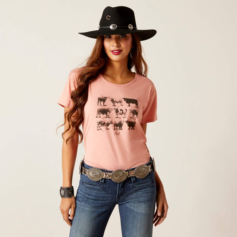 Sunset Heather Ariat Cow Chart T-Shirt | 04ZEGWMKC