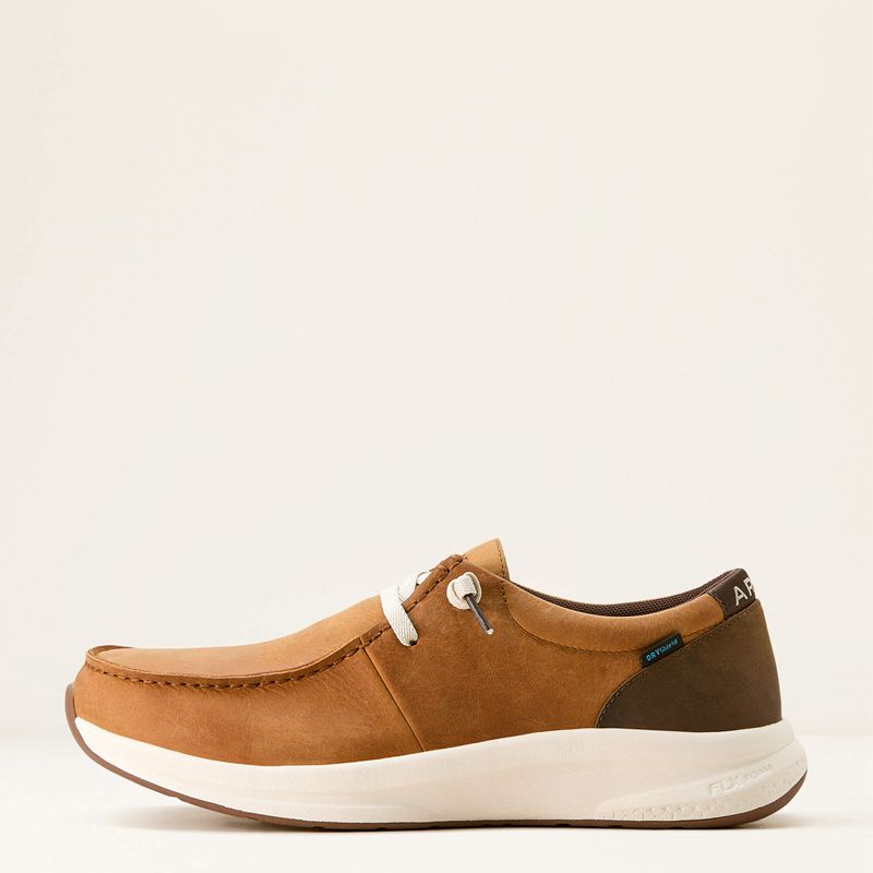 Sunset Wheat/Dark Coffee Ariat Buckeye Waterproof Shoe | 04XIFQBYW