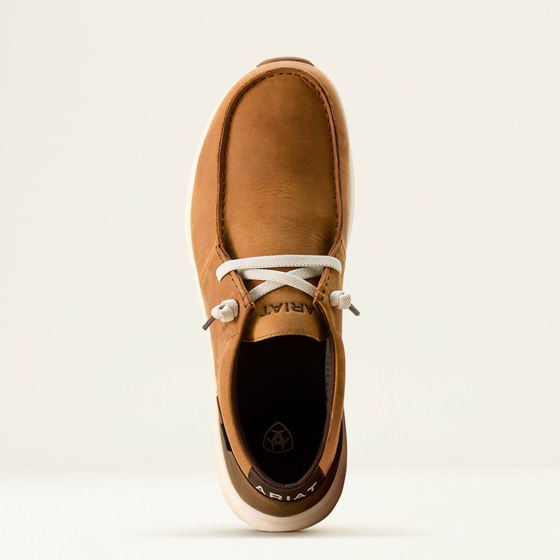 Sunset Wheat/Dark Coffee Ariat Buckeye Waterproof Shoe | 04XIFQBYW