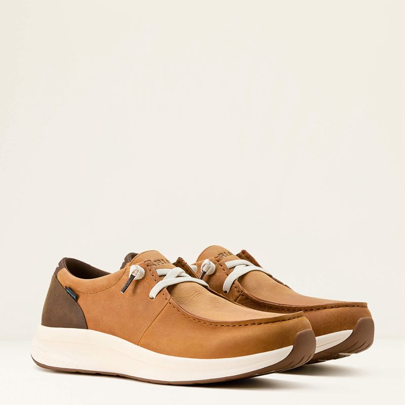 Sunset Wheat/Dark Coffee Ariat Buckeye Waterproof Shoe | 04XIFQBYW