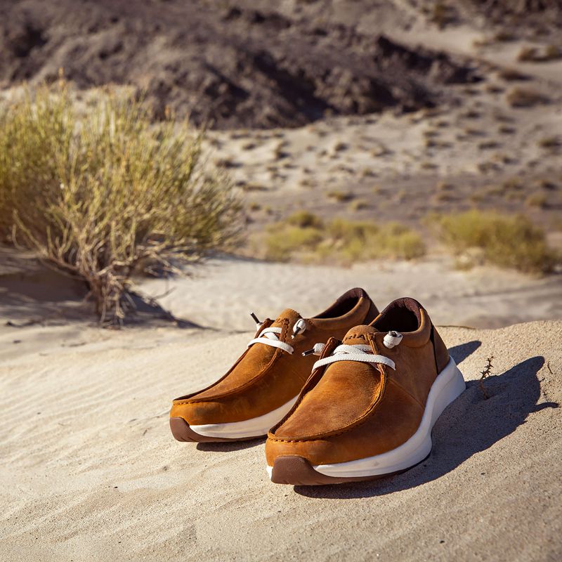 Sunset Wheat/Dark Coffee Ariat Buckeye Waterproof Shoe | 04XIFQBYW