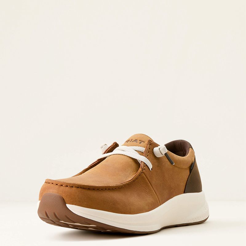 Sunset Wheat/Dark Coffee Ariat Buckeye Waterproof Shoe | 04XIFQBYW