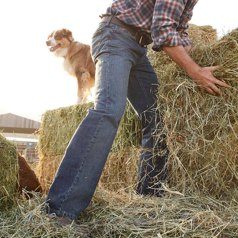 Tabac Ariat M4 Low Rise Legacy Boot Cut Jean | 25IZLVSYW