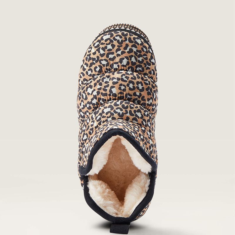 Tan Leopard Print Ariat Crius Bootie Slipper | 46XWOSPEL