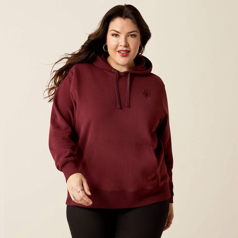 Tawny Port Ariat Logo 2.0 Hoodie | 01WDXGBPH