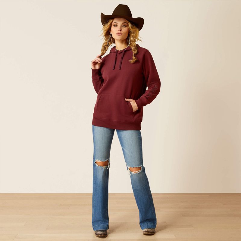 Tawny Port Ariat Logo 2.0 Hoodie | 01WDXGBPH