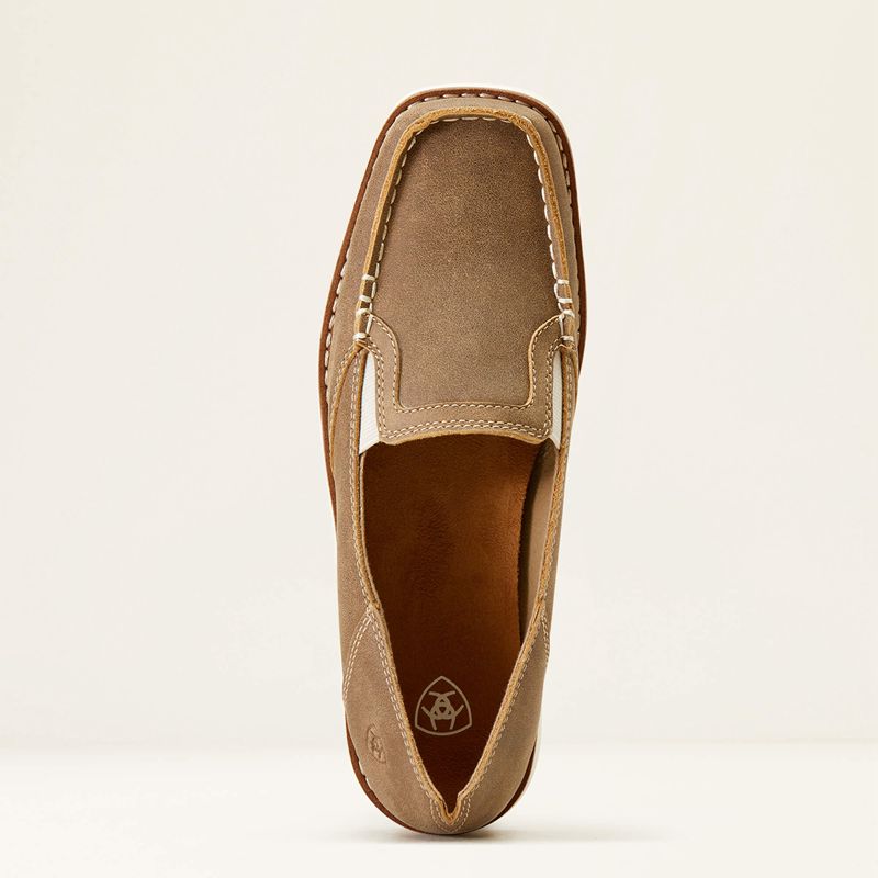 Trusty Brown Ariat Cruiser Easy Flex Wide Square Toe | 67SGHVOBD